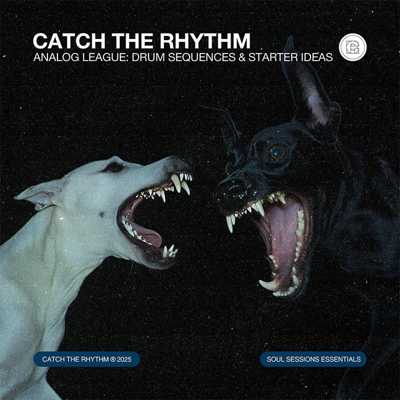 ANALOG LEAGUE: Drum Sequences & Starter Ideas