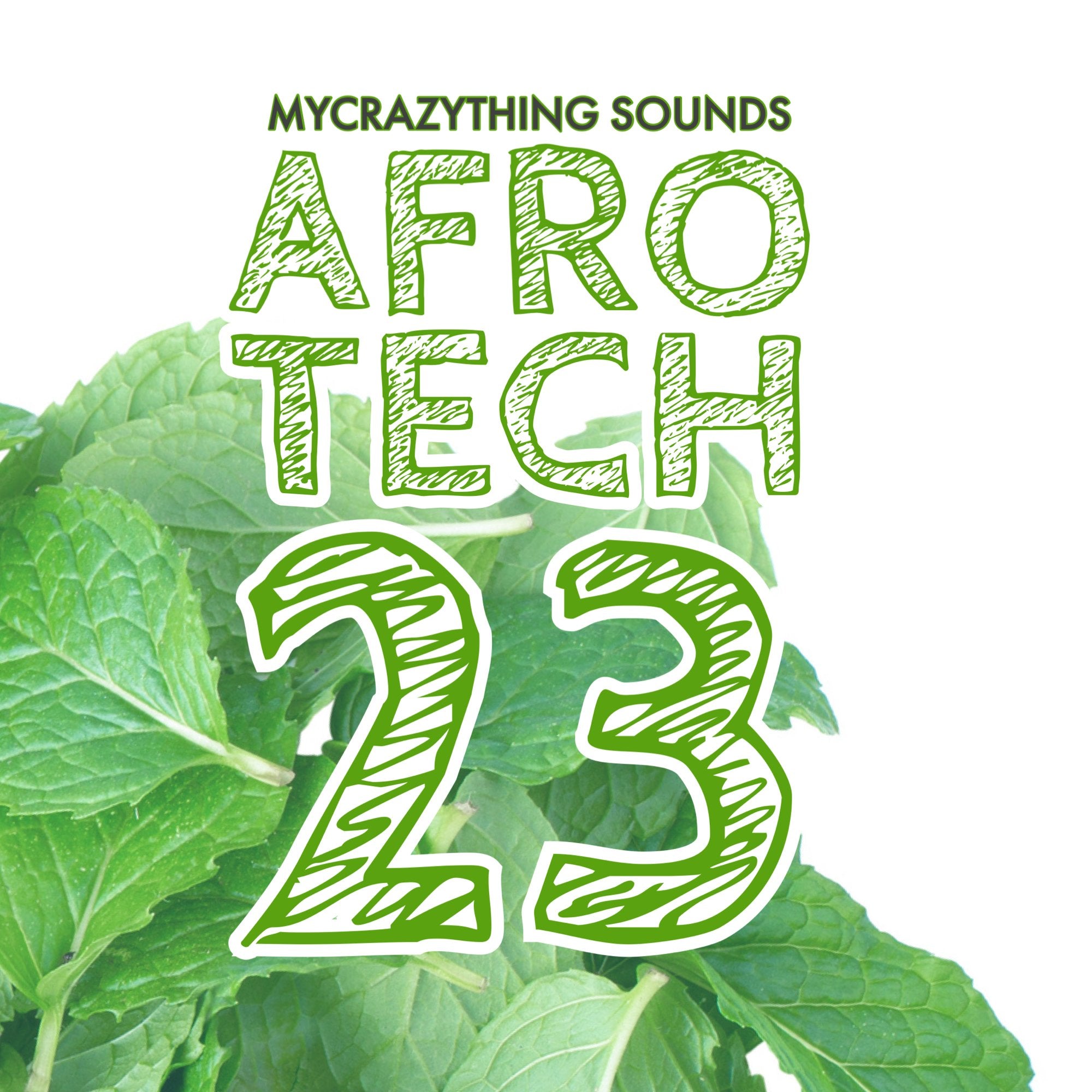65e782ecef060e0c3d10fd1f_afro-tech-23_1746384074613.jpeg