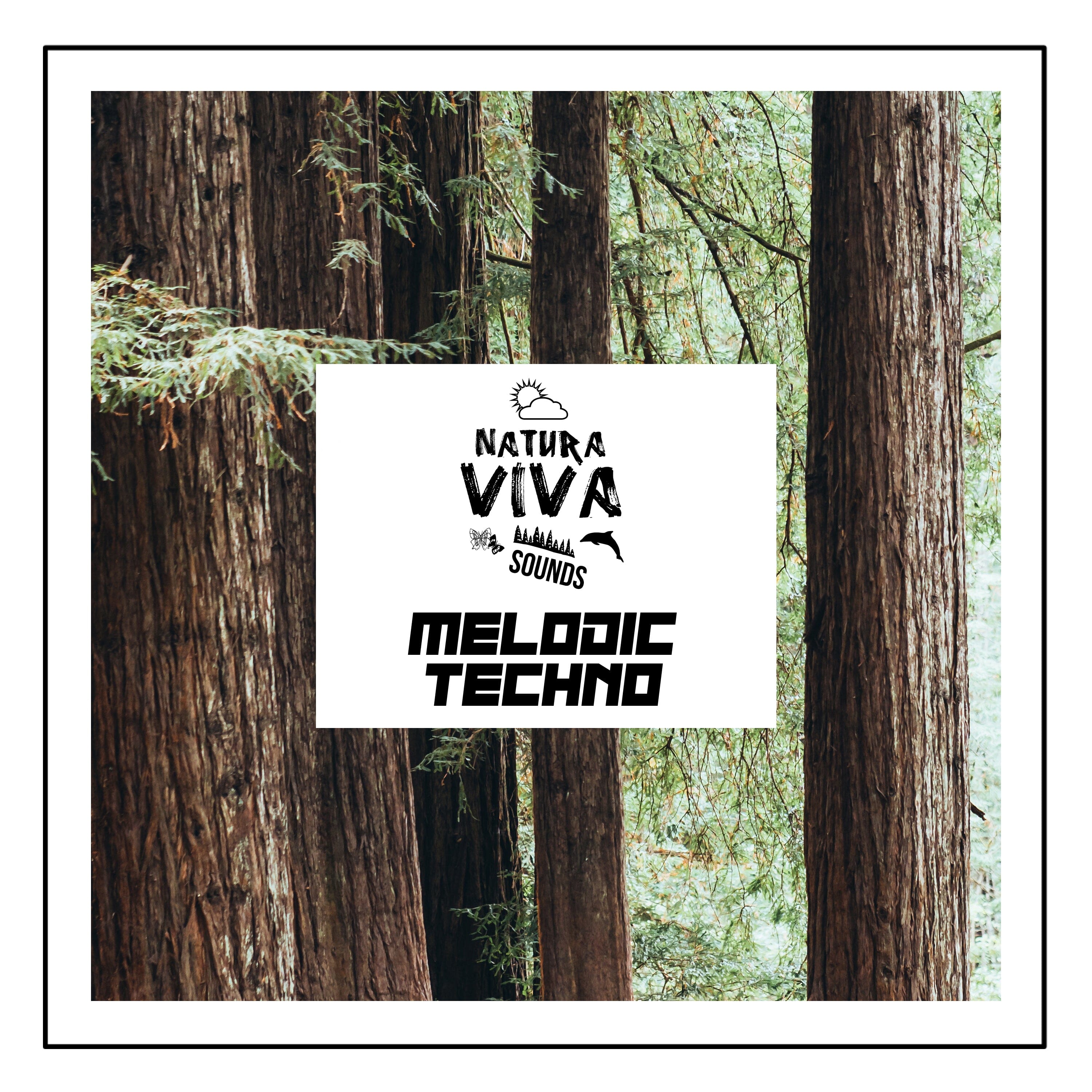 Melodic </br> Techno Sample Pack Natura Viva