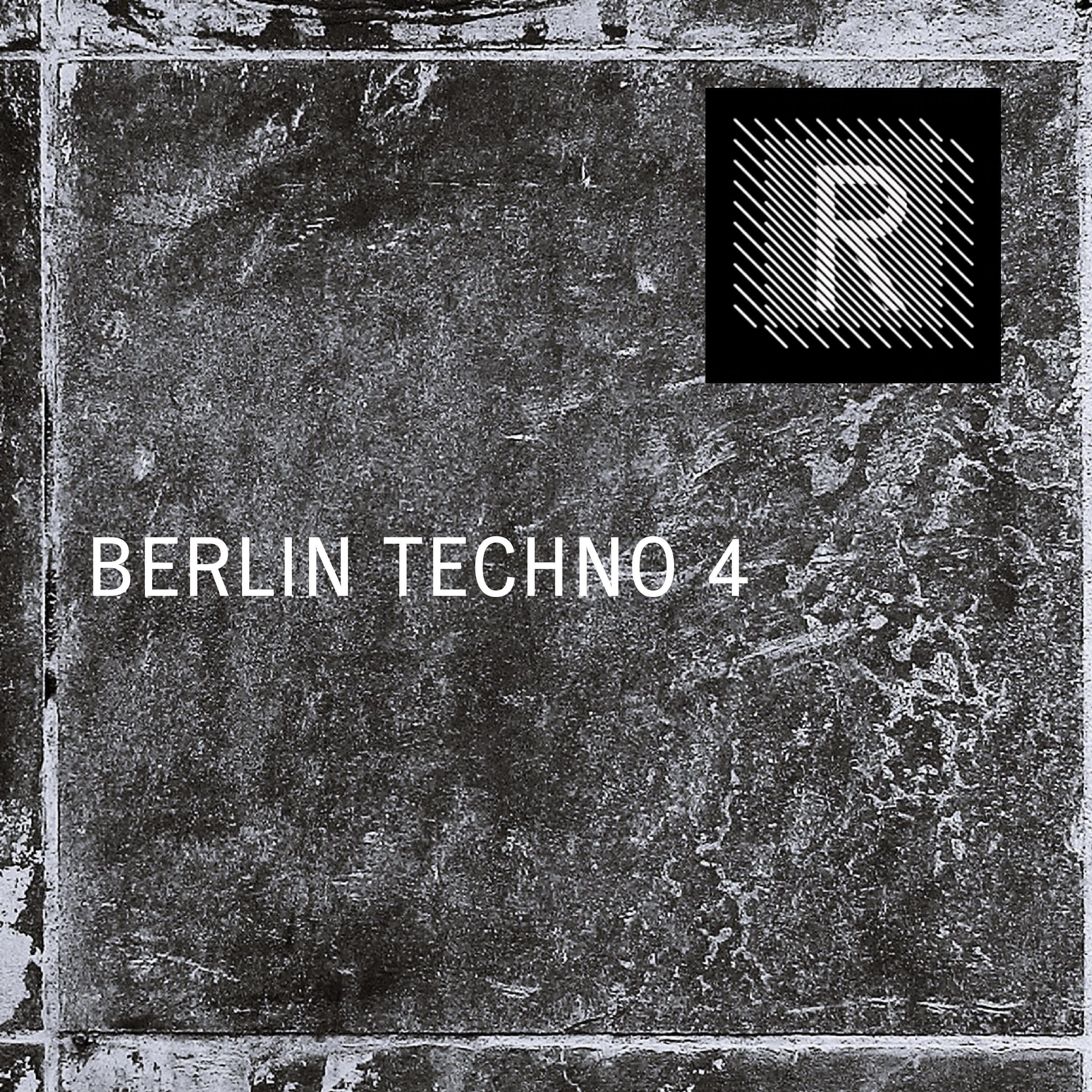 Riemann Berlin Techno 4 (Oneshots - Loops - Percussion - Bass loops) Sample Pack Riemann Kollektion