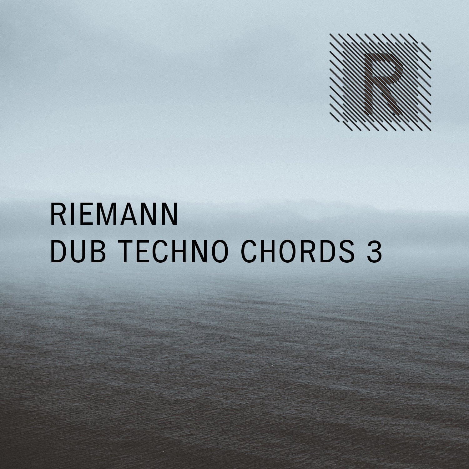 Riemann Dub Techno Chords 3 - Tech House (Oneshots - Loops) Sample Pack Riemann Kollektion
