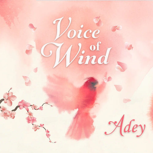 Voice of Wind: Adey - Female Solo Vocals ( Kontakt Player ) Software & Plugins Soundiron