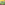 65e782ecef060e0c3d10fd1f_10-in-1-spring-bundle_1749042388259.jpg