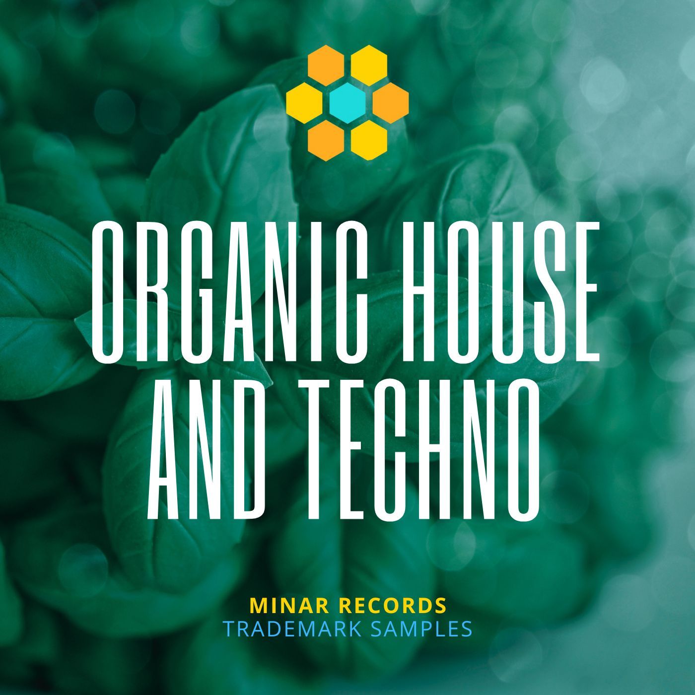 Organic House and Techno - 1
