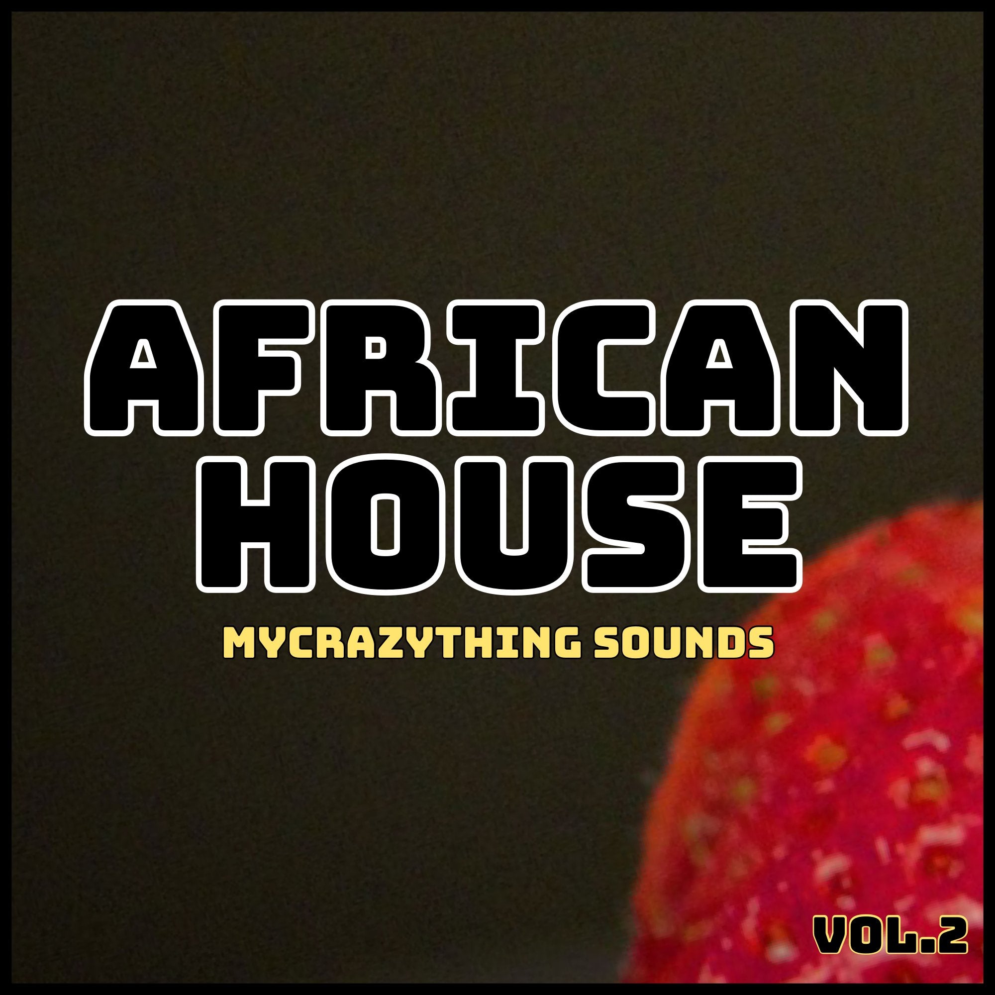 65e782ecef060e0c3d10fd1f_african-house-2-_1748368757894.jpeg