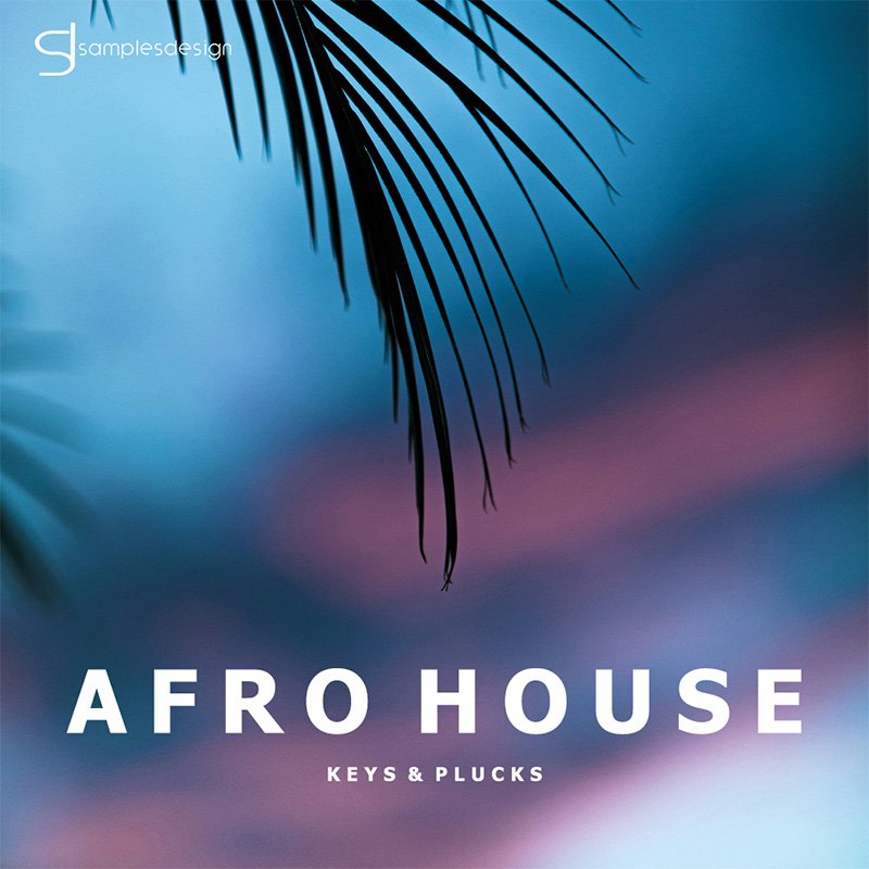 65e782ecef060e0c3d10fd1f_afro-house-keys-plucks_1755592763484.jpg