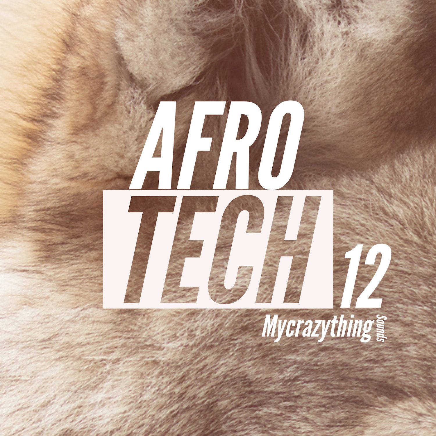 65e782ecef060e0c3d10fd1f_afro-tech-12_1746211040211.jpeg