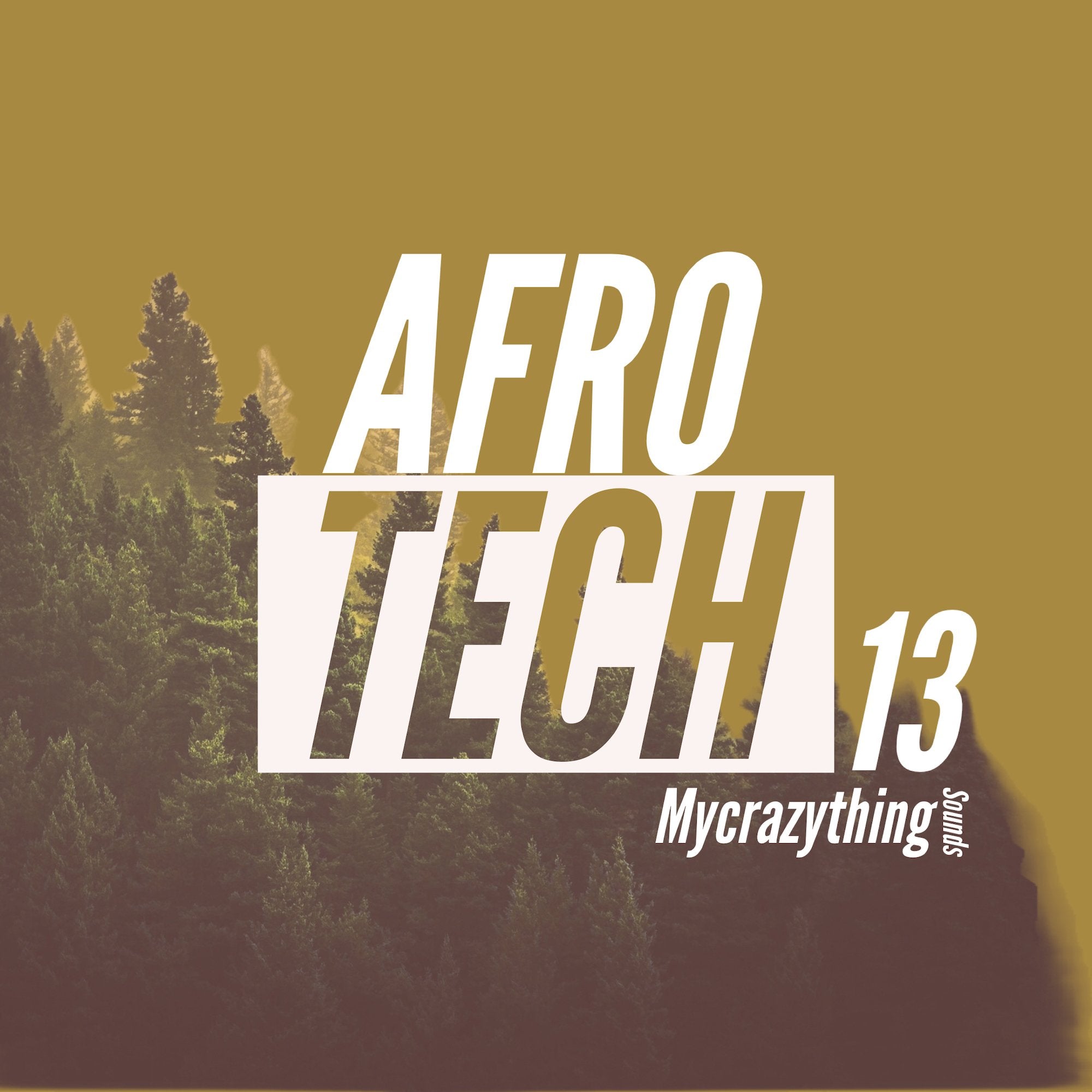 65e782ecef060e0c3d10fd1f_afro-tech-13_1746211165851.jpeg