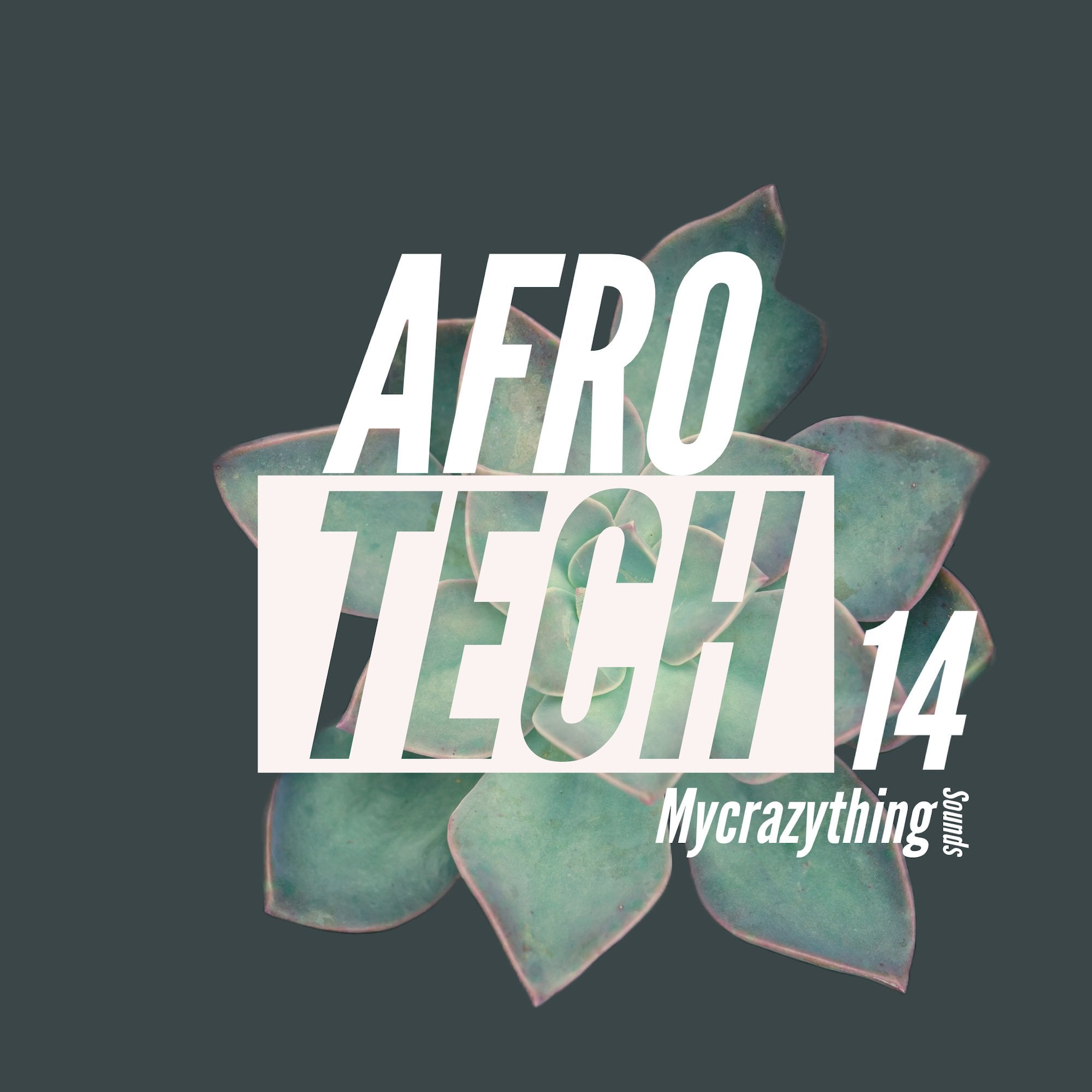65e782ecef060e0c3d10fd1f_afro-tech-14_1746211263219.jpeg