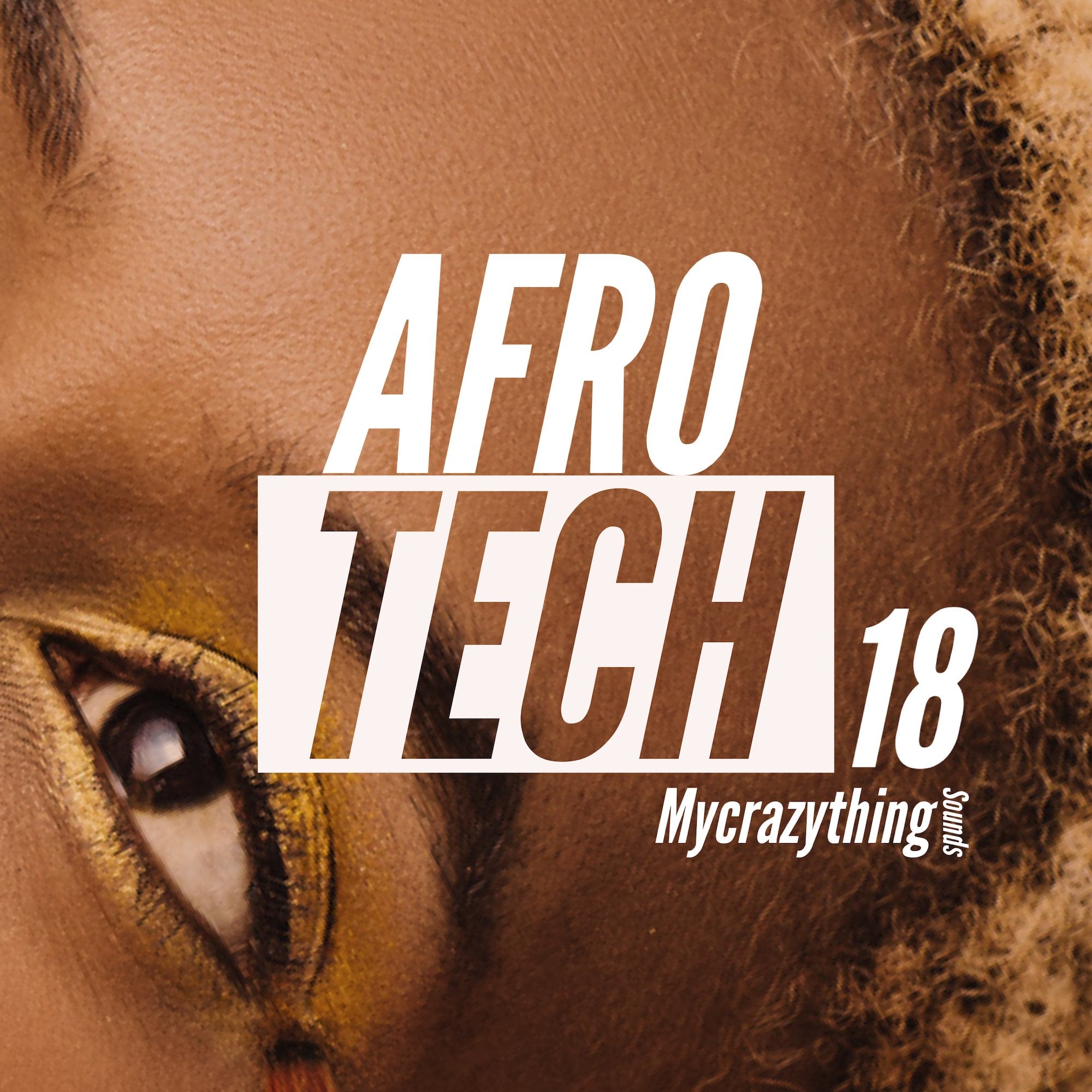 65e782ecef060e0c3d10fd1f_afro-tech-18_1746303927020.jpeg