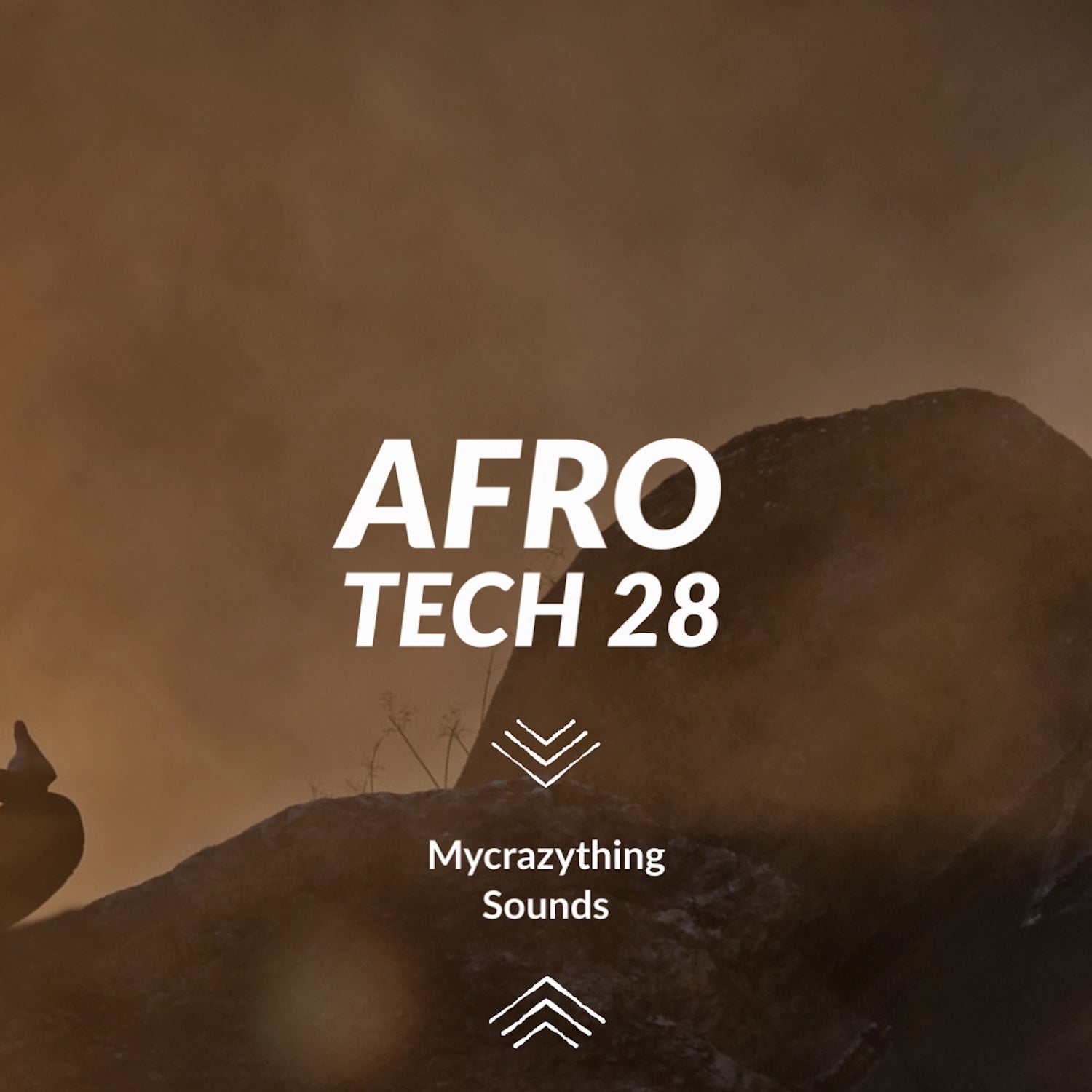 65e782ecef060e0c3d10fd1f_afro-tech-28_1746641740067.png
