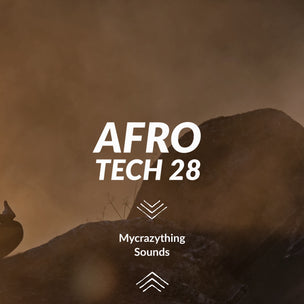65e782ecef060e0c3d10fd1f_afro-tech-28_1746641740067.png