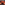 65e782ecef060e0c3d10fd1f_fire-starter-artwork_1756568719681.jpg