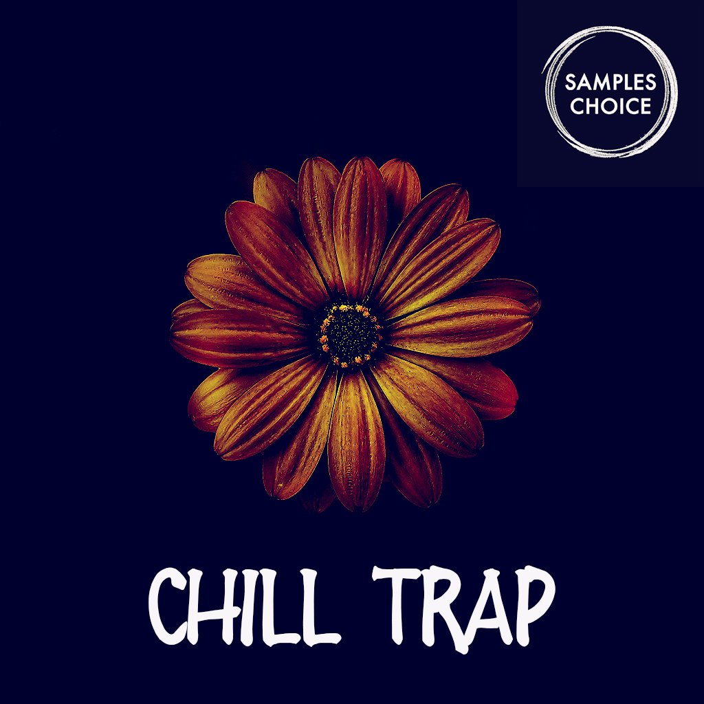 65e782ecef060e0c3d10fd1f_sc127-samples-choice-chill-trap_1752159025857.jpg