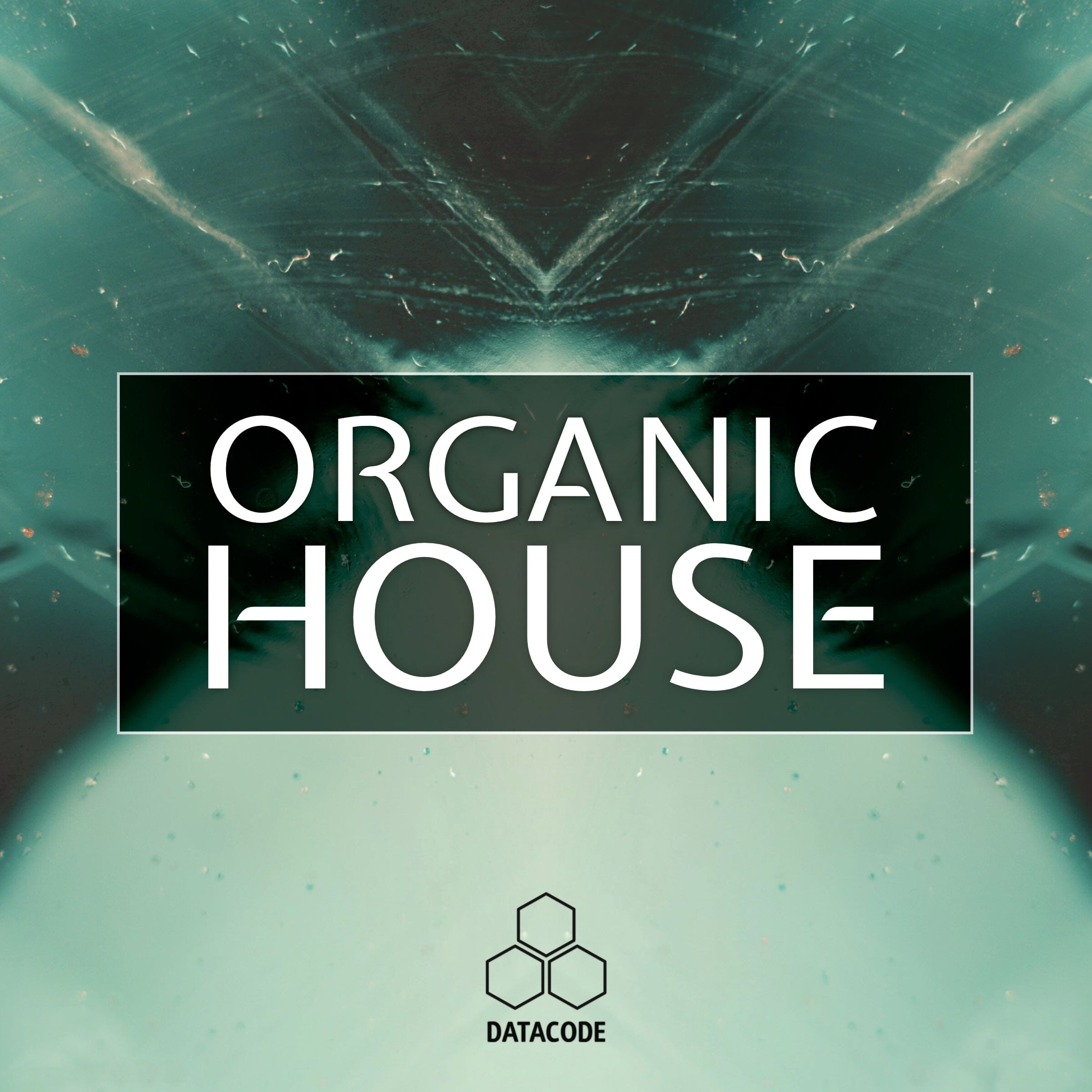 FOCUS: Organic House (Loops, Construction kit, 24 Bit WAV MIDI) Sample Pack Datacode