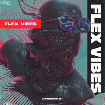 Flex Vibes - Drum & Bass Sample Pack (Audio Loops & One Shoots) Sample Pack Banger Samples