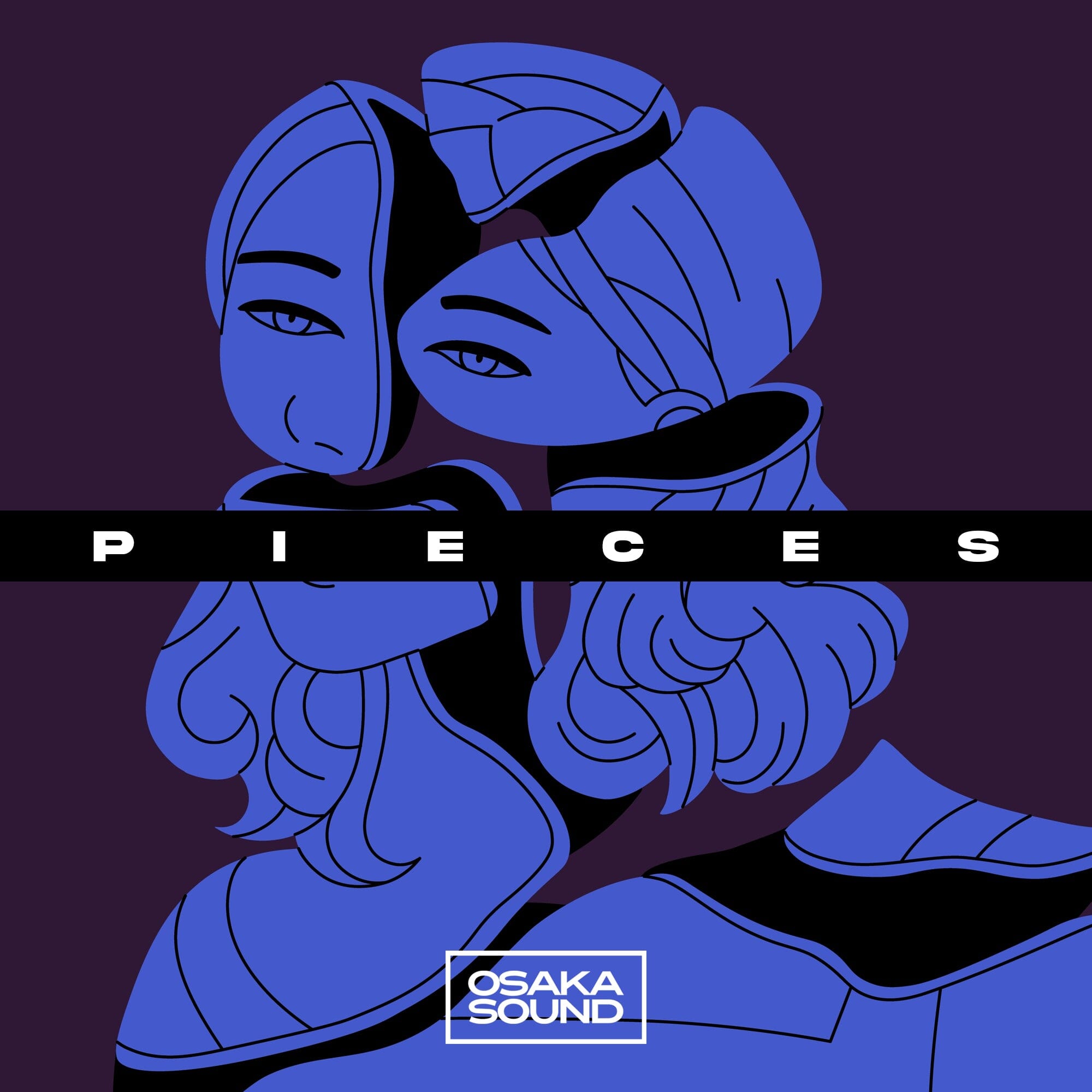 Pieces - Melancholic Hip-Hop (Drum Loops top loop) Sample Pack Osaka Sound