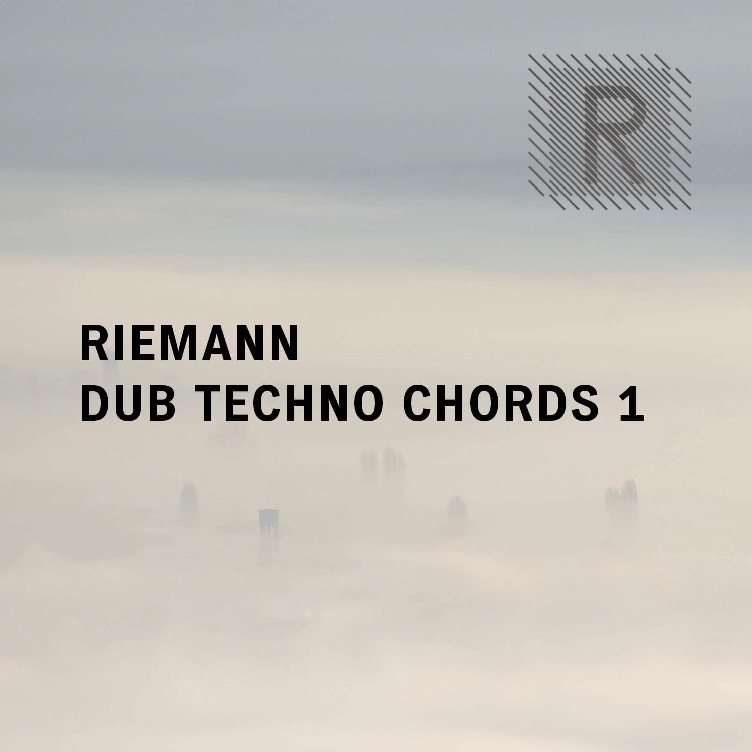 Riemann Dub </br> Techno Chords1 Sample Pack Riemann Kollektion