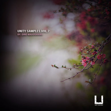 Unity Samples Vol.7 by Dino Maggiorana Sample Pack Unity records